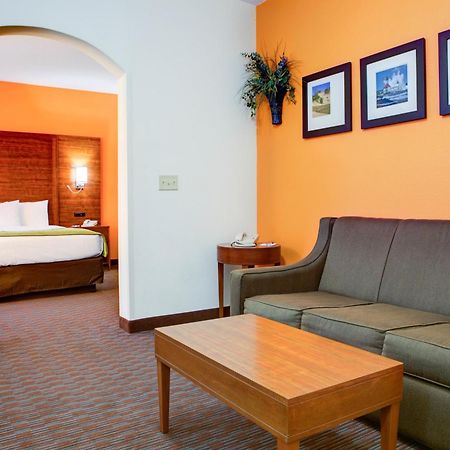Comfort Suites Stevensville – St. Joseph Værelse billede